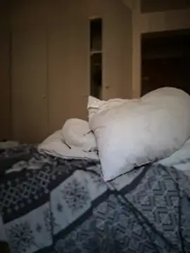 shehandme online show from 02/26/26, 08:24