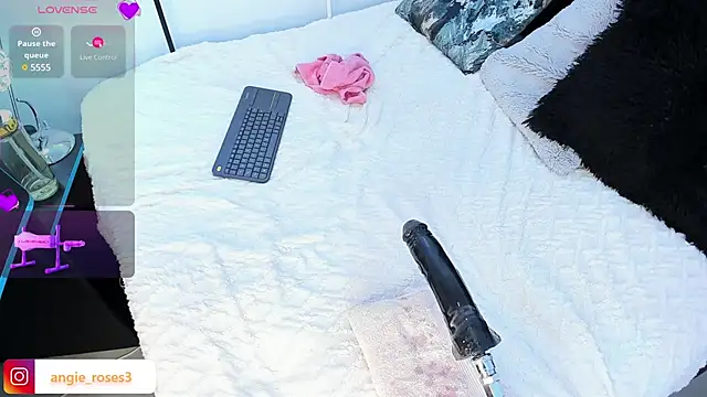 angiee roses online show from 12/17/24, 02:44