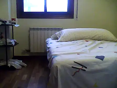 bixesualactivo online show from 01/11/25, 05:07