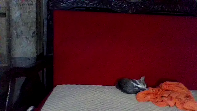 axomen online show from 02/16/25, 03:58