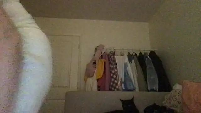 HYPHYtype online show from 09/23/25, 07:44