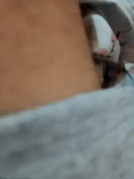 Snapshot of riggijaviersalas chatting on 11/14/25, 01:15 riggijaviersalas online show from 11/14/25, 01:15