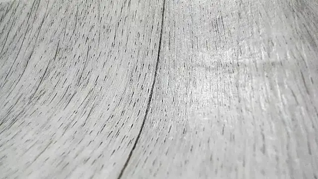 LittleSonya online show from 12/15/25, 04:55