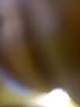 FinableKnee online show from 01/06/26, 10:08