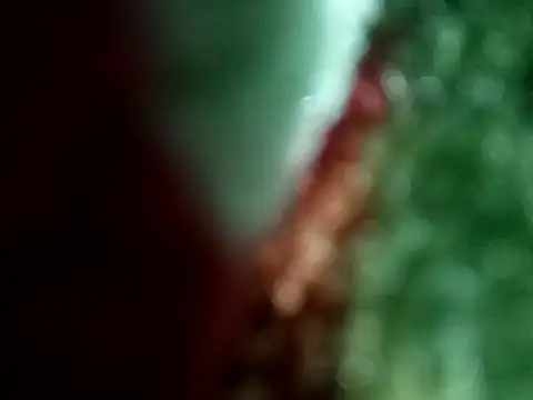 Rittik00 online show from 01/11/26, 02:33