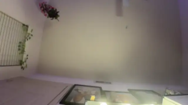 rennibear online show from 12/09/24, 02:56