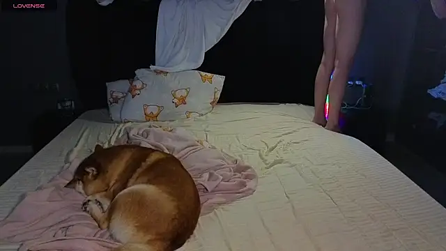 SexyCocobutt online show from 06/24/26, 01:21