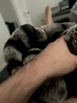 Furdale online show from 12/03/24, 11:33