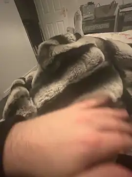 Furdale online show from 12/07/24, 09:33