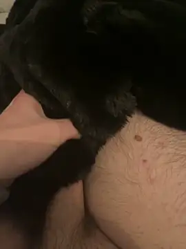 Furdale online show from 12/10/24, 05:44