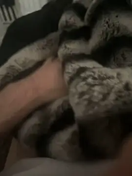 Furdale online show from 12/17/24, 12:43