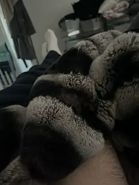 Furdale online show from 12/18/24, 03:00