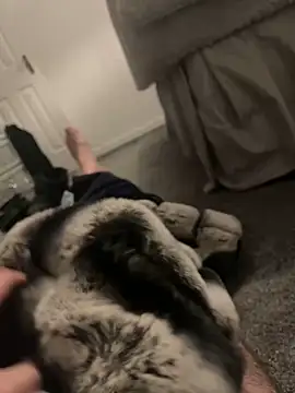 Furdale online show from 01/06/25, 04:55