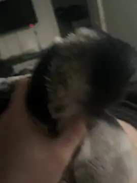 Furdale online show from 01/14/25, 03:26