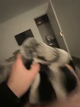 Furdale online show from 01/17/25, 05:19