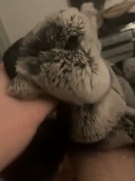 Furdale online show from 01/24/25, 06:04