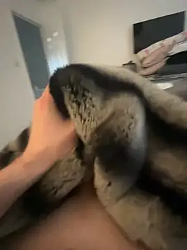 Furdale online show from 02/08/25, 09:46