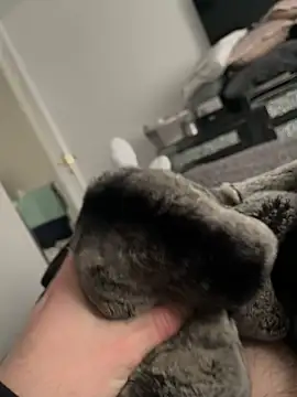 Furdale online show from 02/10/25, 01:55