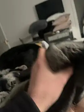 Furdale online show from 02/16/25, 02:32