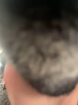 Furdale online show from 02/22/25, 04:40