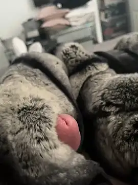 Furdale online show from 02/26/25, 12:58