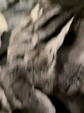 Furdale online show from 10/31/25, 07:04