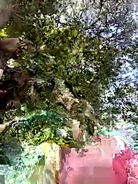 Snapshot of Nicolle_Milf chatting on 09/24/25, 06:55 Nicolle Milf online show from 09/24/25, 06:55