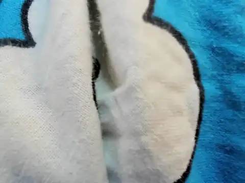 bigbooty29 online show from 09/29/25, 04:50