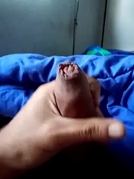 rodovlaz online show from 04/02/26, 10:57