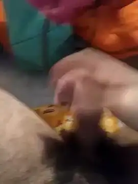 jon763 online show from 01/10/25, 02:45