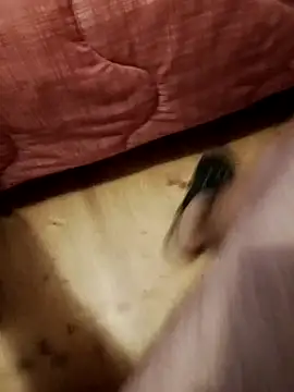 jon763 online show from 09/22/25, 07:32