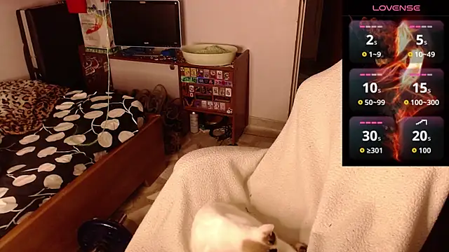 Snapshot of Apolo_S chatting on 02/14/26, 08:33 Apolo S online show from 02/14/26, 08:33