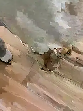 TBgril online show from 01/13/26, 10:53