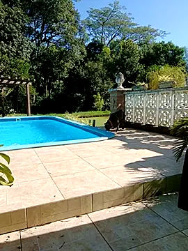 Snapshot of dutra498 chatting on 02/09/26, 07:18 dutra498 online show from 02/09/26, 07:18