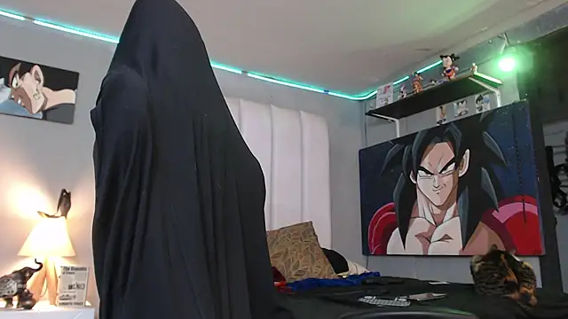 bardock 1 online show from 02/13/25, 03:50