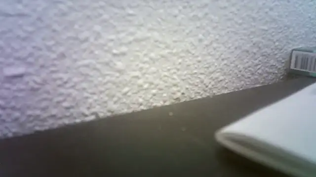 pau65vb online show from 11/19/25, 08:03