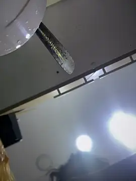 Snapshot of Tayra_Siny chatting on 02/14/25, 12:47 Tayra Siny online show from 02/14/25, 12:47