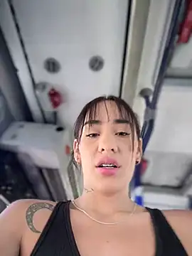 Snapshot of __IRIS__ chatting on 01/23/25, 04:04 IRIS online show from 01/23/25, 04:04