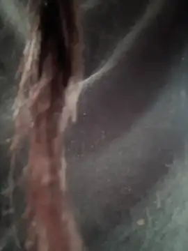 Snapshot of __IRIS__ chatting on 02/14/25, 04:31 IRIS online show from 02/14/25, 04:31