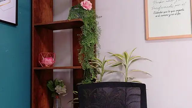 Sara Boom online show from 12/17/25, 04:07