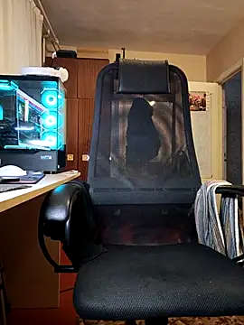 Snapshot of sergeysas chatting on 10/10/25, 11:20 sergeysas online show from 10/10/25, 11:20