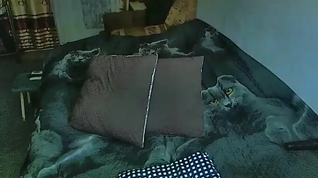 sex2 online show from 10/14/25, 11:05