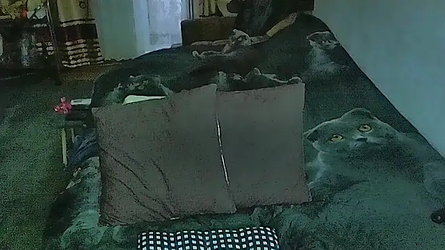 sex2 online show from 04/09/26, 12:43