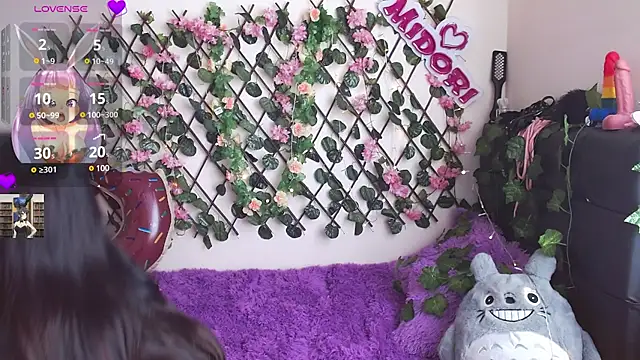 Snapshot of MidoriQuiinn chatting on 01/28/25, 05:03 MidoriQuiinn online show from 01/28/25, 05:03