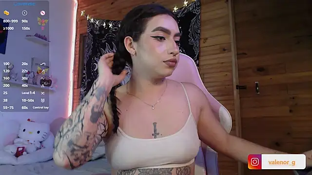 Snapshot of valenor_ chatting on 02/22/25, 03:01 valenor online show from 02/22/25, 03:01