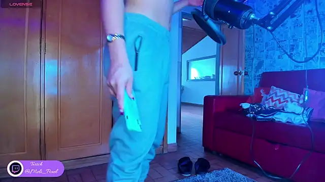 Snapshot of Meli_Pixel chatting on 01/31/25, 07:51 Meli Pixel online show from 01/31/25, 07:51