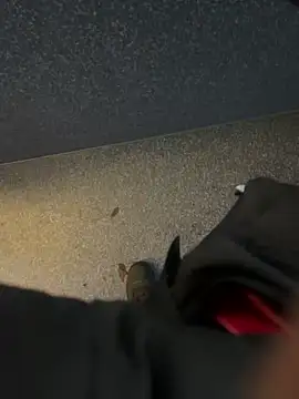 Snapshot of angelitasexy81 chatting on 12/15/25, 03:49 angelitasexy81 online show from 12/15/25, 03:49