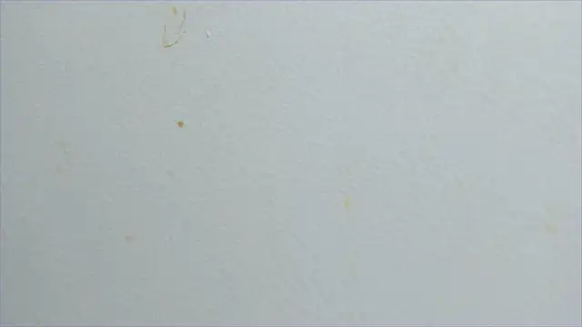 lisa2018 online show from 02/21/25, 11:10