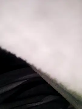 Snapshot of Pitercom chatting on 11/10/25, 08:41 Pitercom online show from 11/10/25, 08:41