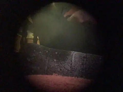 translove online show from 12/09/24, 07:50